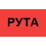 Рута