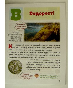 Рослини
