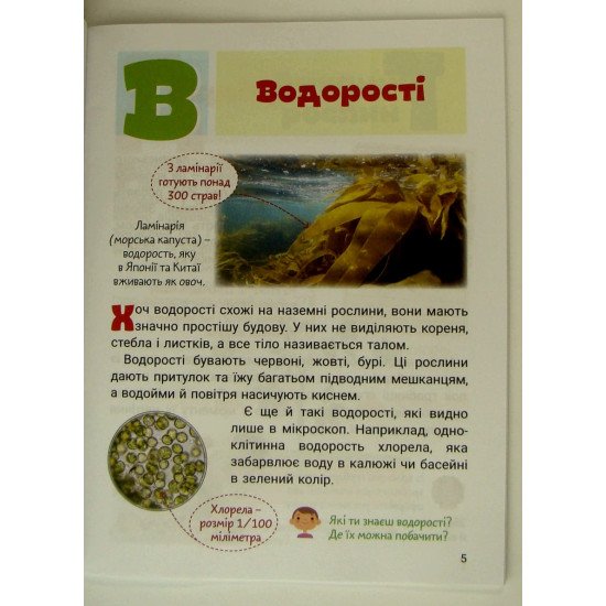 Рослини - №2