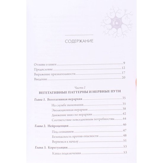 Полівагальні вправи для розвитку відчуття безпеки та зв'язку Деб Дана (Російською) - №3