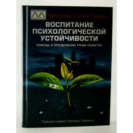 Виховання психологічної стійкості. Допомога у подоланні травм розвитку Кейн Кеті (Російською) - №1