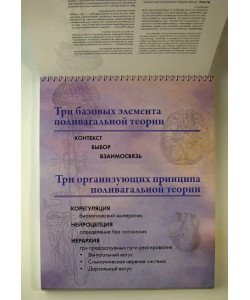 Міні-фліпчарт Полівагальні нотатки Деб Дана (Російською)
