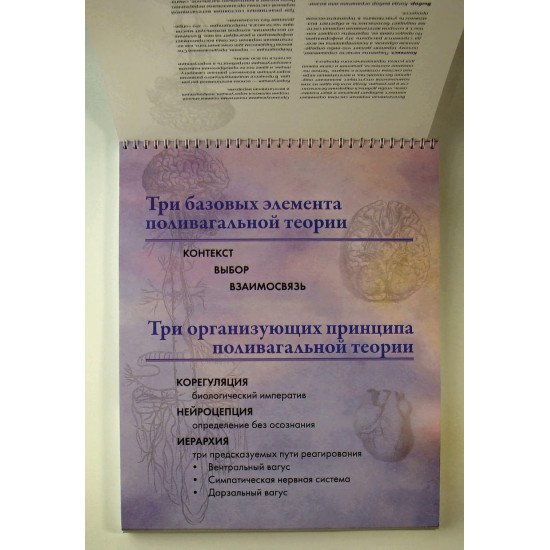 Міні-фліпчарт Полівагальні нотатки Деб Дана (Російською) - №2