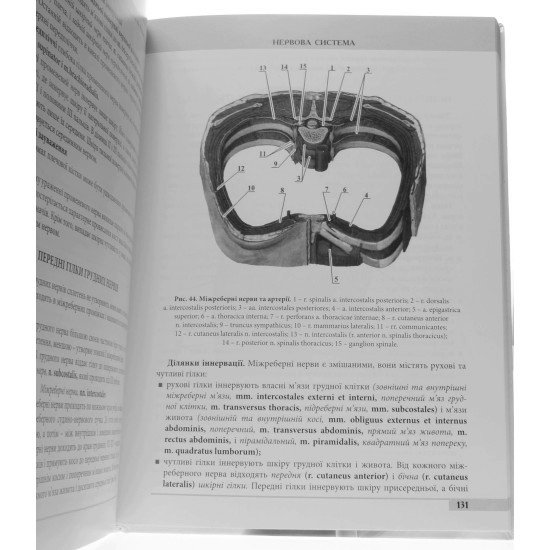 Анатомія людини. В трьох томах. Том 3 Ковешнікова В.Г. чорно-біле видання - №3