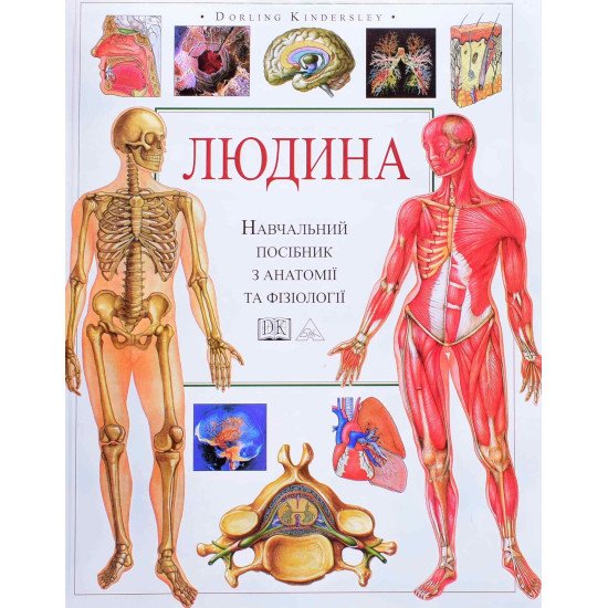 Людина. Навчальний посібник з анатомії та фізіології - №1