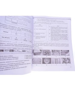 Інформатика Робочий зошит 5 клас Ривкінд Й.Я.