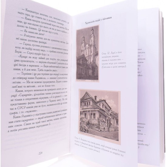 Вирівнювання Збруча Меч Германаріха Книга 3 Клименко О.О. - №3