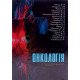Онкологія Завізіон В.Ф. - №6