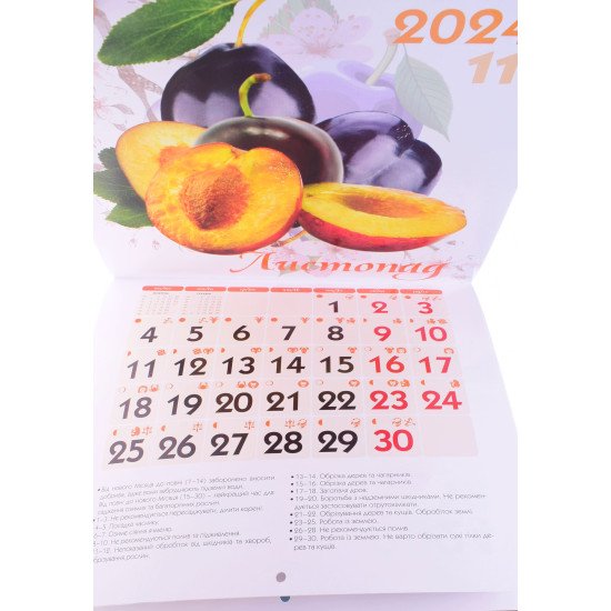 Календар 2024 Щедрого врожаю - №4