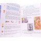 Мистецтво 4 клас Підручник Кондратова Л.Г. - №7