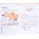 Історія України Всесвітня історія 6 клас Робочий зошит Дослідницькі вправи, історичні відкриття, ігрові завдання Щупак І.Я. - №10