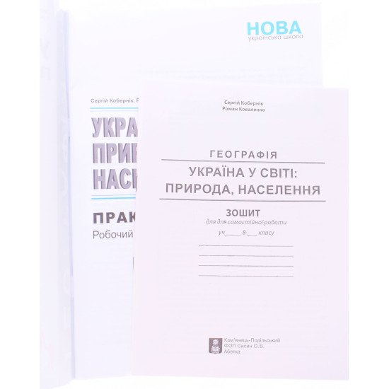 Географія Україна у світі 8 клас Практикум із зошитом для самостійної роботи Кобернік С.Г. - №3