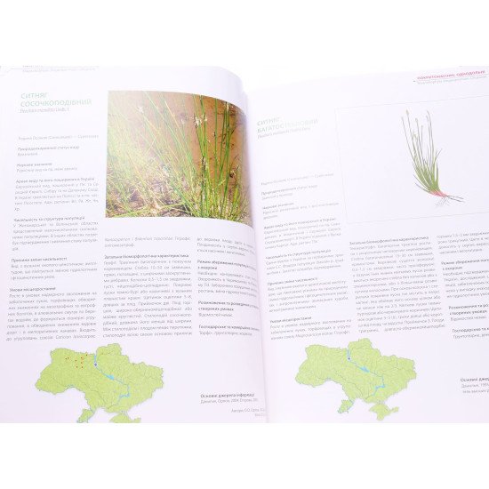 Червона книга України Рослинний світ - №4