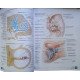 Атлас анатомії людини  Неттер Френк Г.  Netter Atlas of Human Anatomy - №6