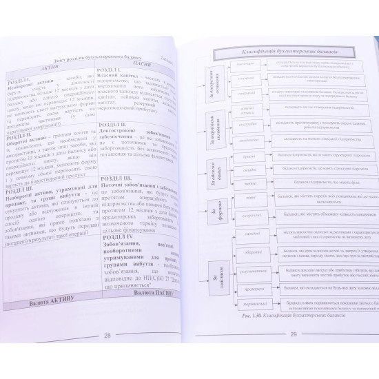 Бухгалтерський облік у схемах і таблицях Лобода Н.О. - №5