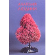 Анатомія людини Матешук-Вацеба Л.Р.