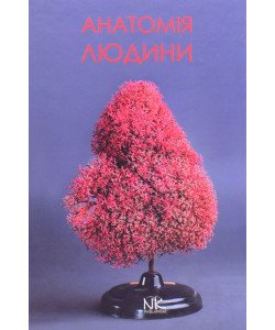 Анатомія людини Матешук-Вацеба Л.Р.