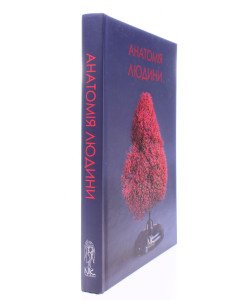Анатомія людини Матешук-Вацеба Л.Р.