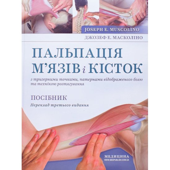 Пальпація м’язів і кісток з тригерними точками, патернами відображеного болю та технікою розтягування - №1