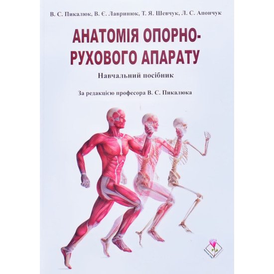Анатомія опорно-рухового апарату - №1