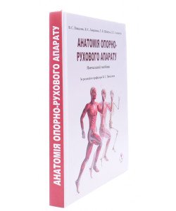 Анатомія опорно-рухового апарату