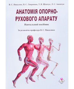 Анатомія опорно-рухового апарату