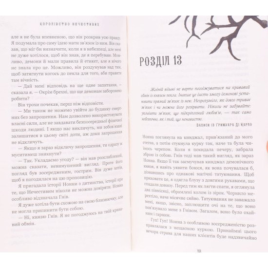 Королівство Нечестивих. Книга 1 Королівство Нечестивих - №3