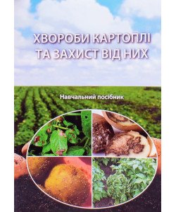 Хвороби картоплі та захист від них 