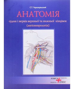 Анатомія судин і нервів верхньої та нижньої кінцівок