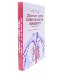 Спланхнологія. Анатомія серцево-судинної системи. Органи імуногенезу