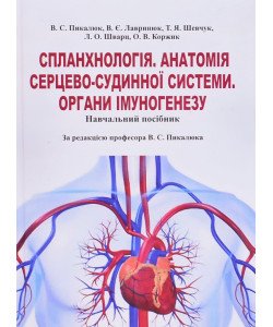 Спланхнологія. Анатомія серцево-судинної системи. Органи імуногенезу