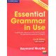 Essential Grammar in Use Fourth Edition Book with answers - №7