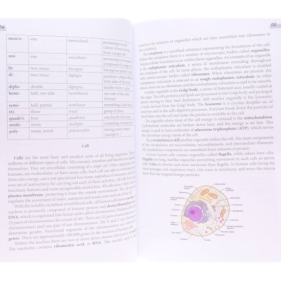 English Medical Competence Вивчення англійської мови для студентів медиків Ісаєва І.С. - №5