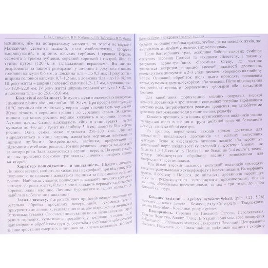 Шкідники буряків цукрових і захист від них - №4
