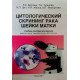 Цитологічний скринінг раку шийки матки (Російською) - №4