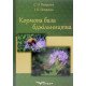 Кормова база бджільництва - №7
