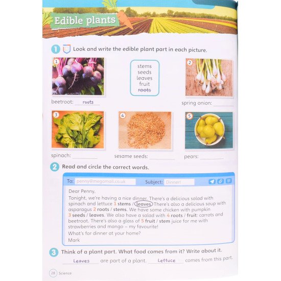 Super Minds (Ukrainian edition) НУШ 4 Workbook. Пухта Г. - №5