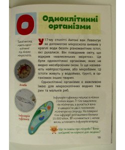 Тварини